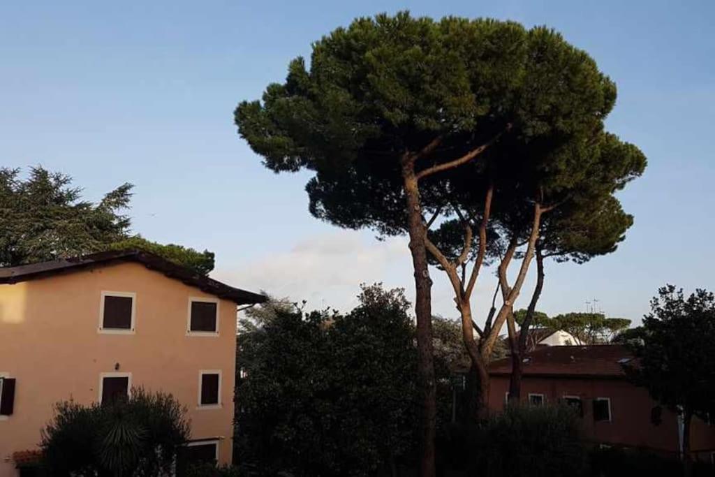 Aurelia - Begonia Apartamento Roma